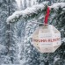 Foresta Innevata (Снежный лес) 15 мл, концентрат аромата для дома, Италия